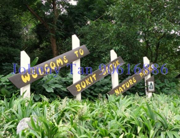 Blk 212 Bukit Batok Street 21 (Bukit Batok), HDB 3 Rooms #126478762